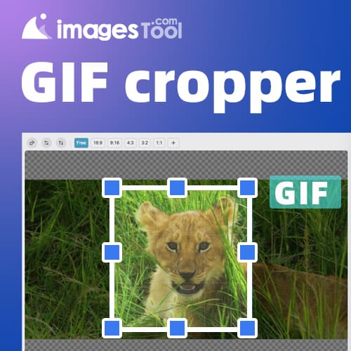 Free online Gif cropper, can batch crop Gifs, ImagesTool.com Gif tool